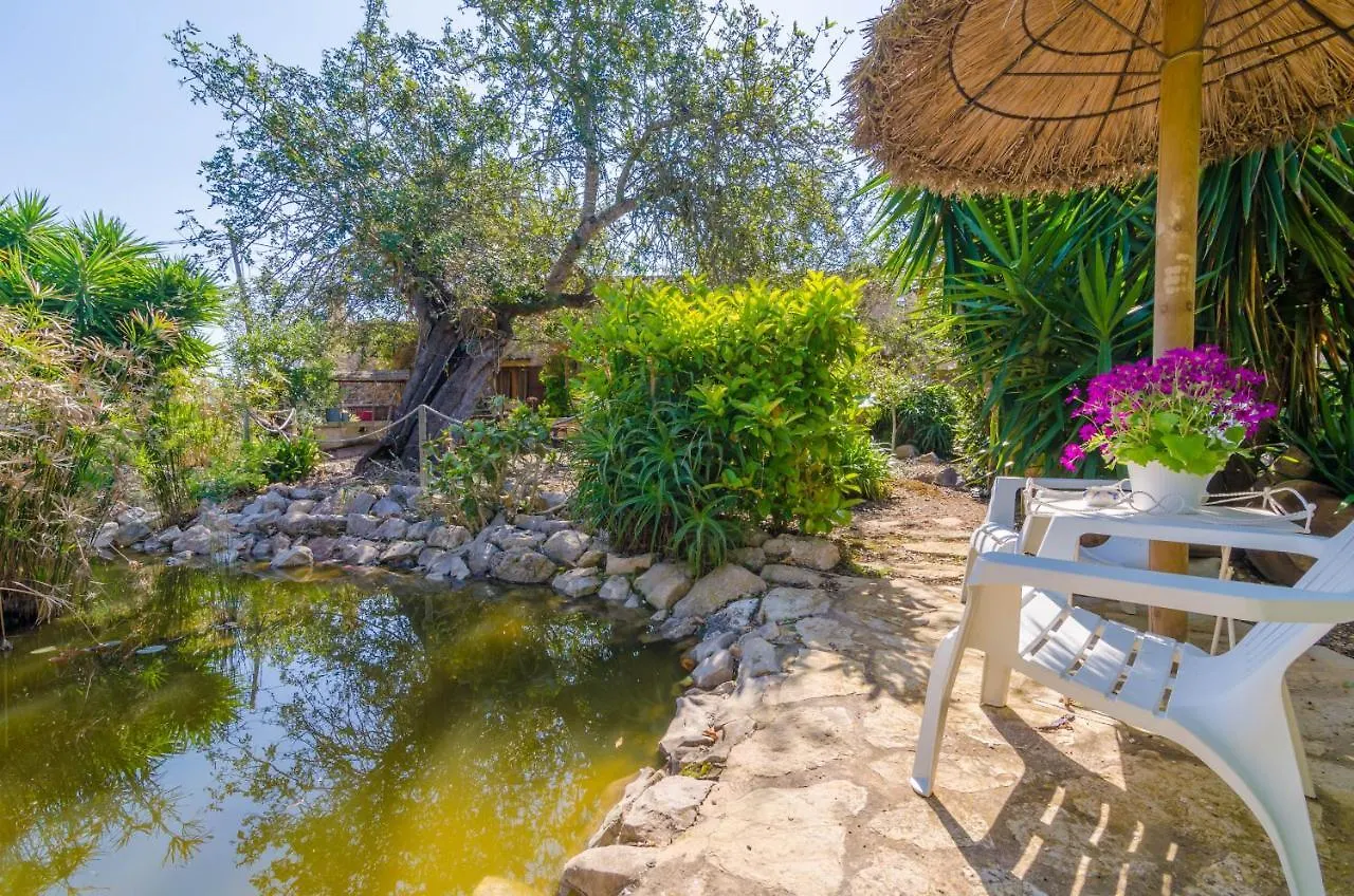 Villa Son Barbot Sant Llorenc Des Cardassar
